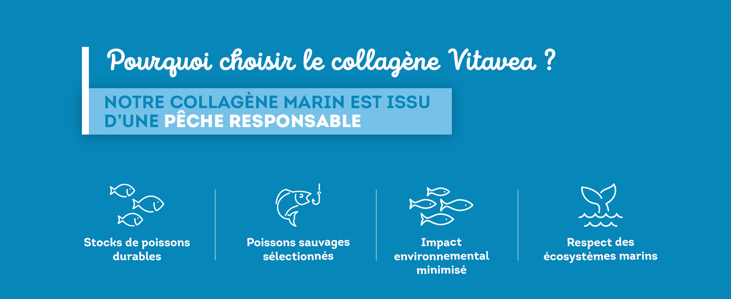 collagene marin poudre