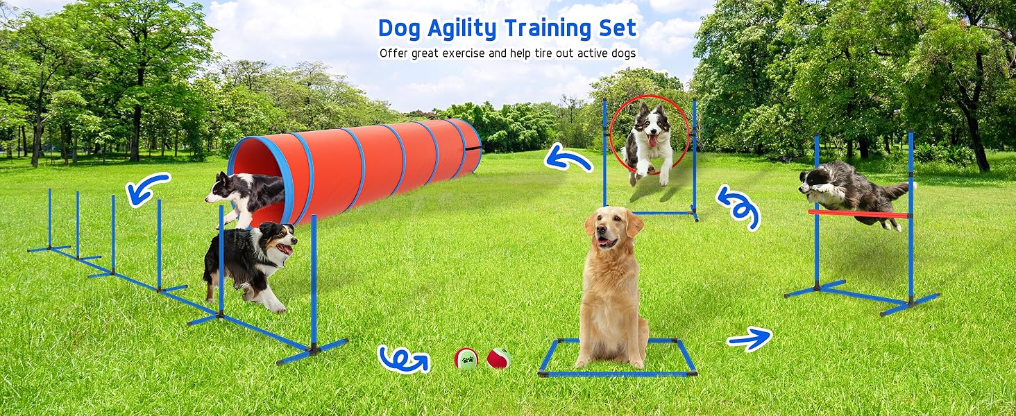 dog agility course backyard set