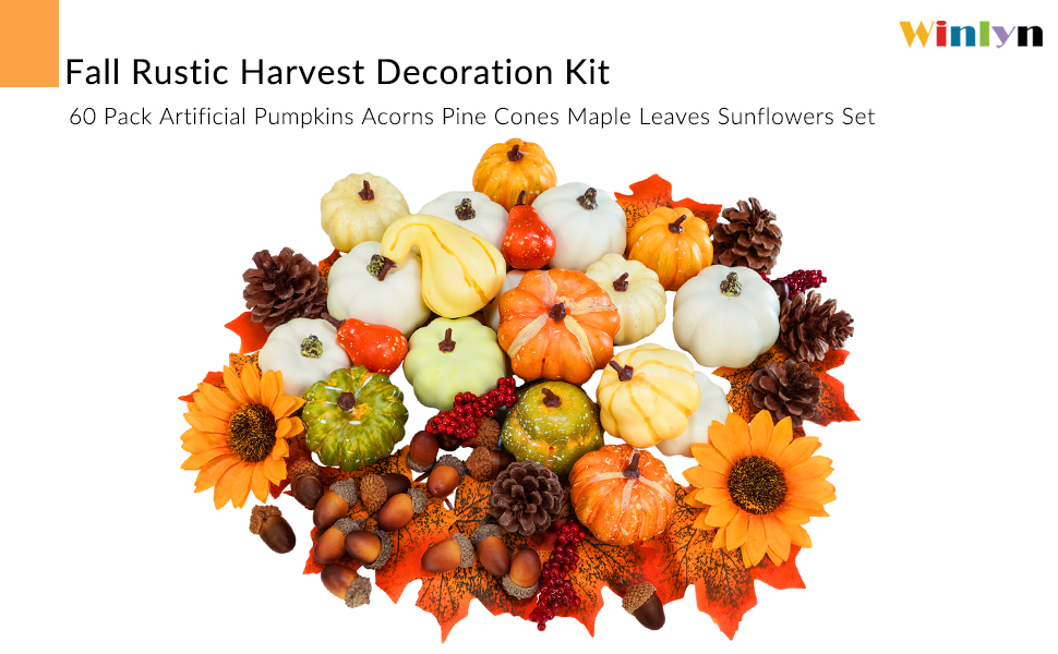 Winlyn Assorted Harvest and Baby Boo Pumpkins and Gourds