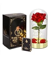 HOMESEASONS Glass Dome Red Rose Gift for Women Birthday Gift - Pre-Lit Red Velvet Rose in Glass Dome