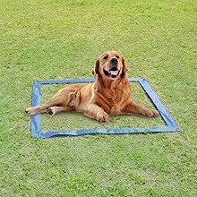 dog pause box