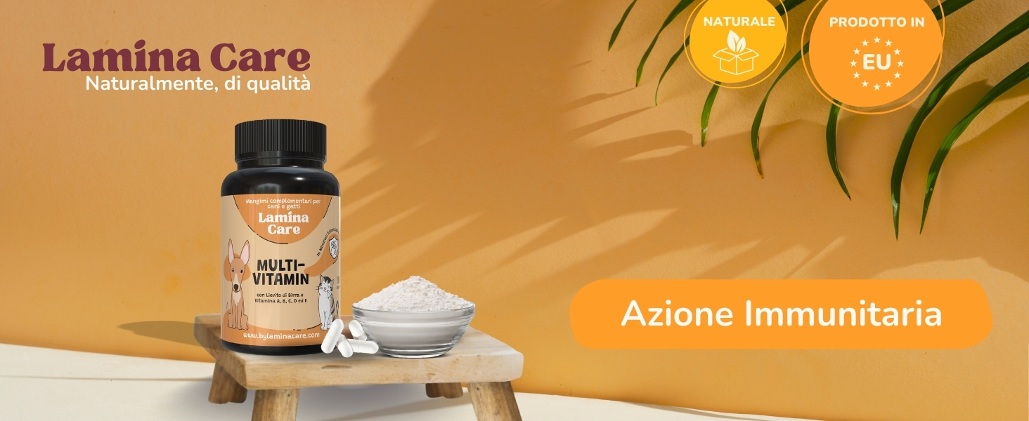 Flacone di integratore alimentare in vetro scuro con etichetta che indica il supporto immunitario. Polvere bianca in un piccolo piatto, bastoncini di cannella nelle vicinanze. Foglie di palma sullo sfondo.