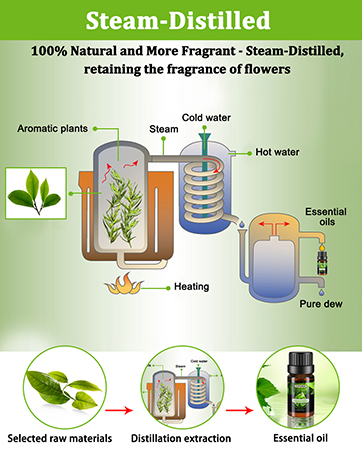 Essential Oils for Diffusers for Home
