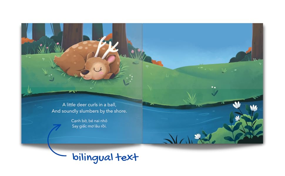 deer sleeping by shore