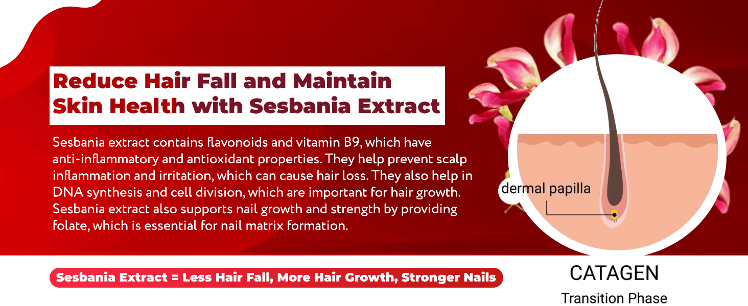 The Body Reserve Hair Gummies