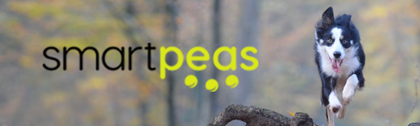 Marca Smartpeas. , subaru outback accessories,forro para maletero de carro