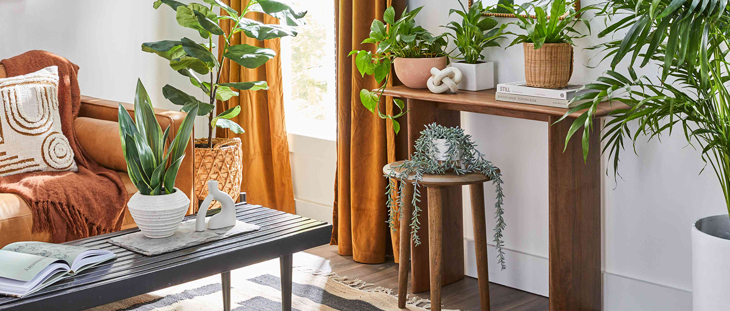 Dehumidifiers for Home