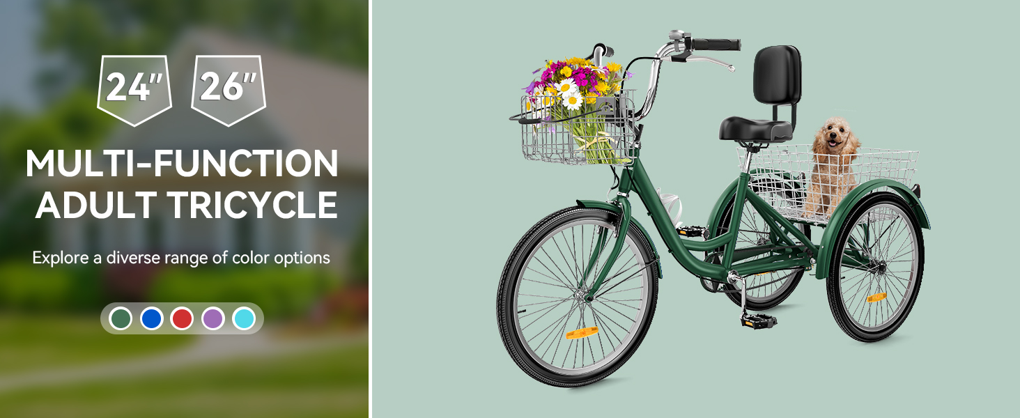 adult tricycle