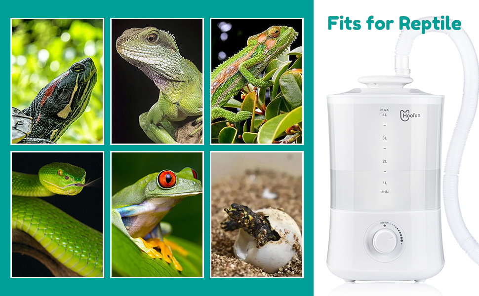 Reptile Humidifiers, 4.5L Mister for Reptiles, Reptile