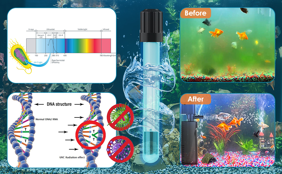 fish tank filters 10 gallon