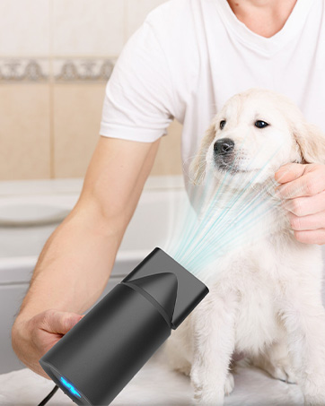 pour animaux de compagnie soufflant de l'air sur un chiot blanc. L'appareil a un corps noir avec des accents bleus et émet une fine brume.