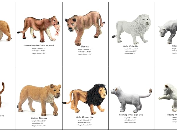 Amazon.co.jp: FUNSHOWCASEアフリカのジャングルの動物