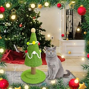 Christmas Cat Scratcher