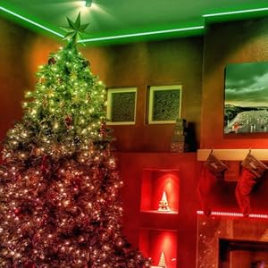 Thanksgiving and Christmas Gifts