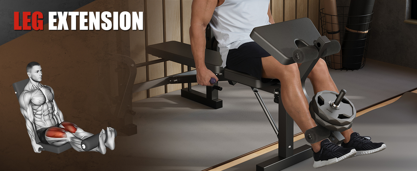 exercise bench for home gym