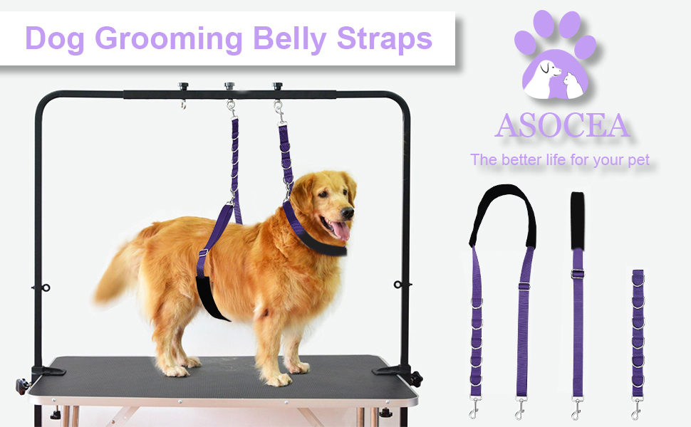 ASOCEA Dog Grooming Belly Strap Adjustable Nylon Loop for Pet Bath Dog Grooming Extension Grooming Table Arm Accessories for Small Medium Dogs Cat 10 con estructura de metal negro y correas moradas para apoyar el vientre. El Golden Retriever se muestra en una demostración. Las correas moradas adicionales se muestran por separado.