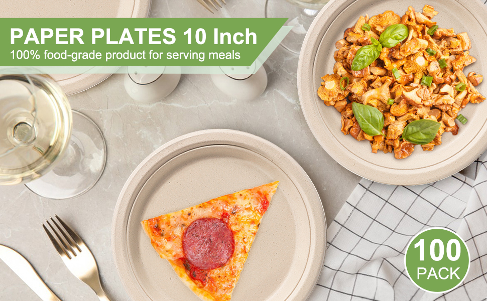 Paper Plates 10 inch, 100 Pack Paper Plates Bulk, 100 Compostable Plates Eco Friendly