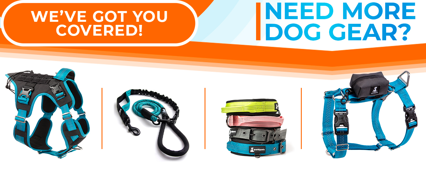 SparklyPets Gear you need