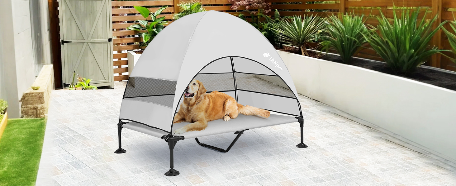 dog cot with canopy