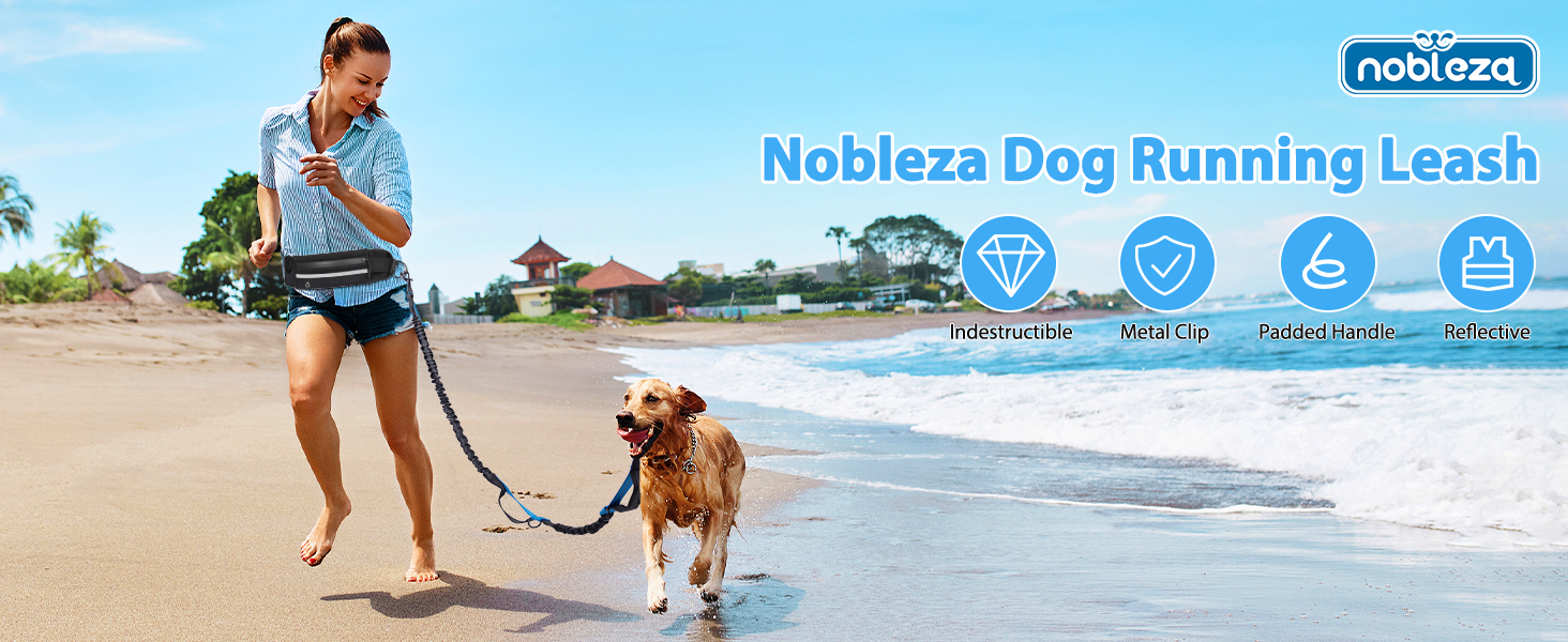 un hombre y su perro en la playa