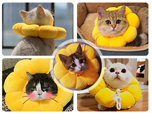 Halskrause Katze Halsband