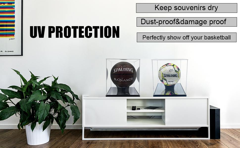 Soccer ball display case