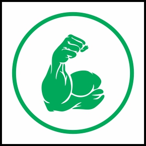 A healthful substitute