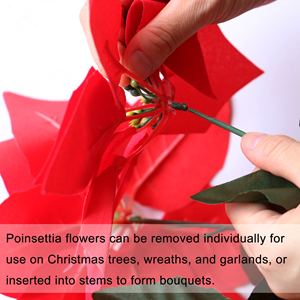 christmas red flowers