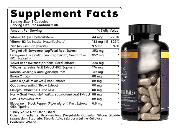 SUPPLEMENT_Total-Male+