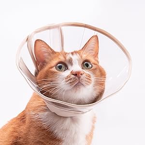 へっぽこ猫　まとめ買いページ Amazon.co.jp: デコレコーポレーション concombre 紅葉おどり猫
