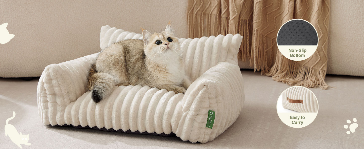 pet couch