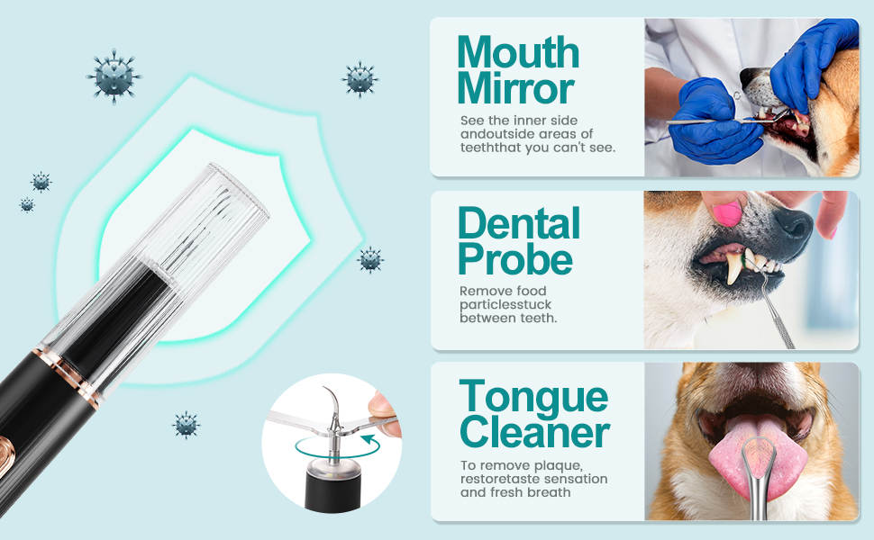 dog toothbrush