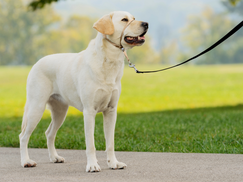 Large manufacture image 3