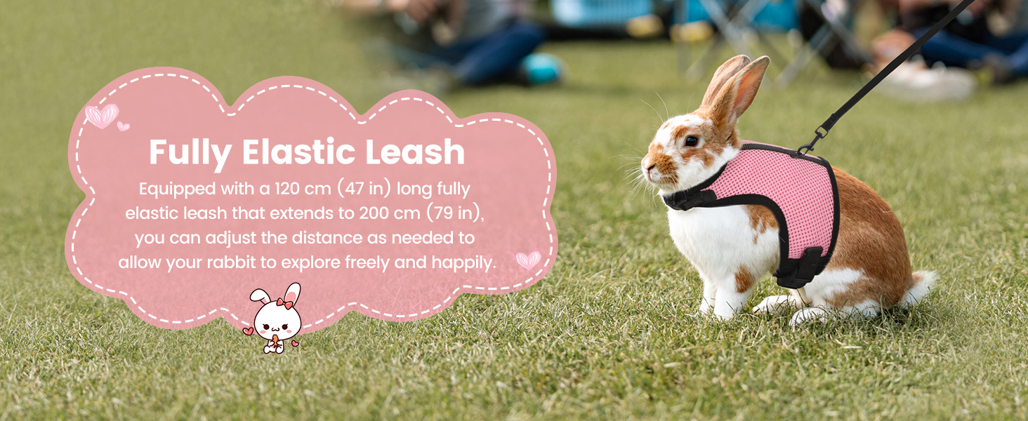 Fully Elastic Leash