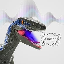 Raptor toys