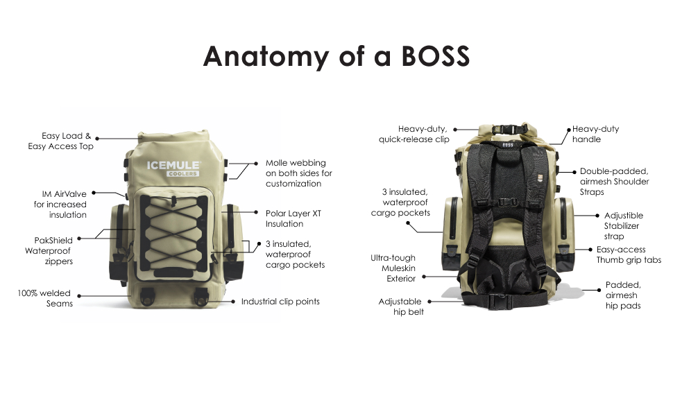 Anatomy of a Boss