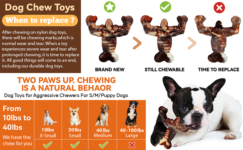 How Often Should You Replace Dog Toys: Essential Guide