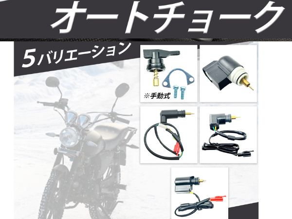 ちょすちょす様 K-viviのフォトギャラリー「ディオZXの進化の歩み。」 | ホンダ