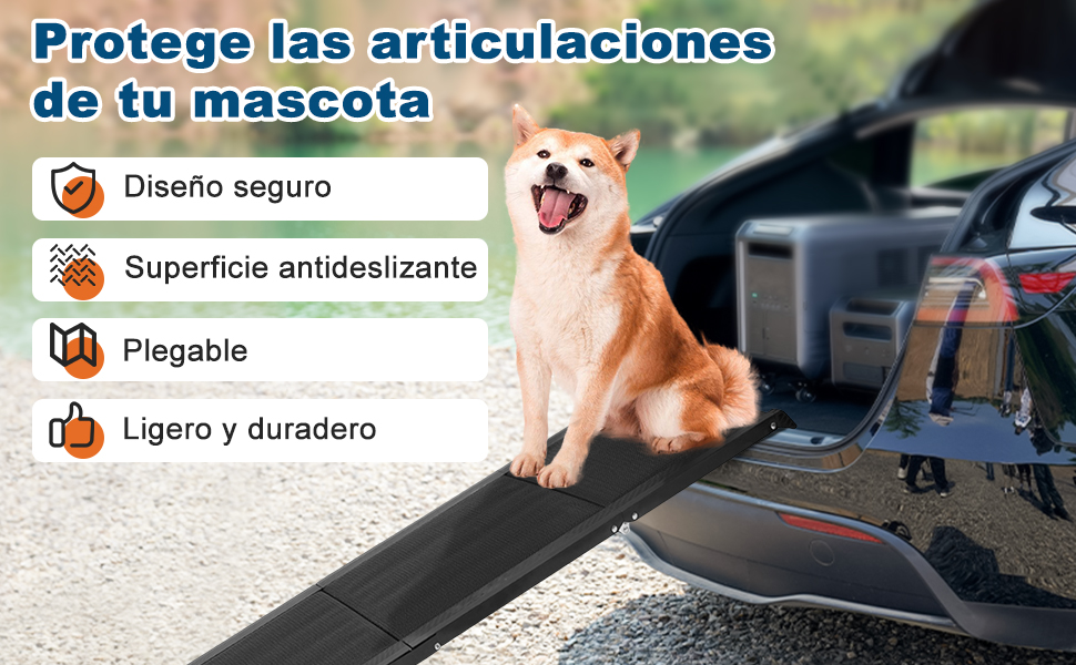 Ramp for Dogs Coche