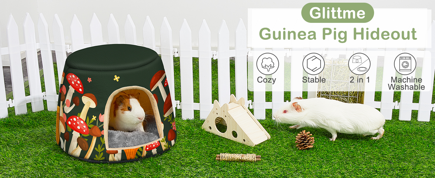 guinea pig bed