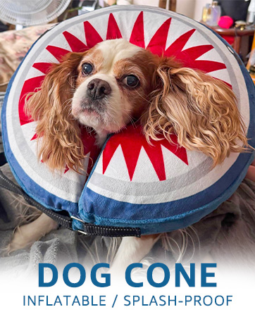 dog cone