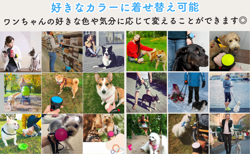 リシニュー (Lishinu) 犬用リード ハンズフリーリード Amazon | リシニュー (Lishinu) 犬用リード ハンズフリーリード