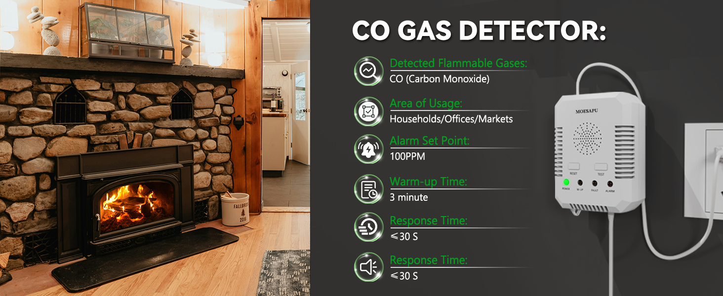 CO Gas Detector