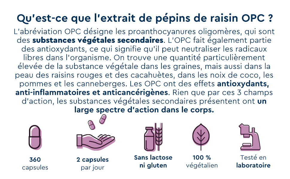 OPC Extrait de Pépins de Raisin 1000mg, 360 Capsules Végétaliens