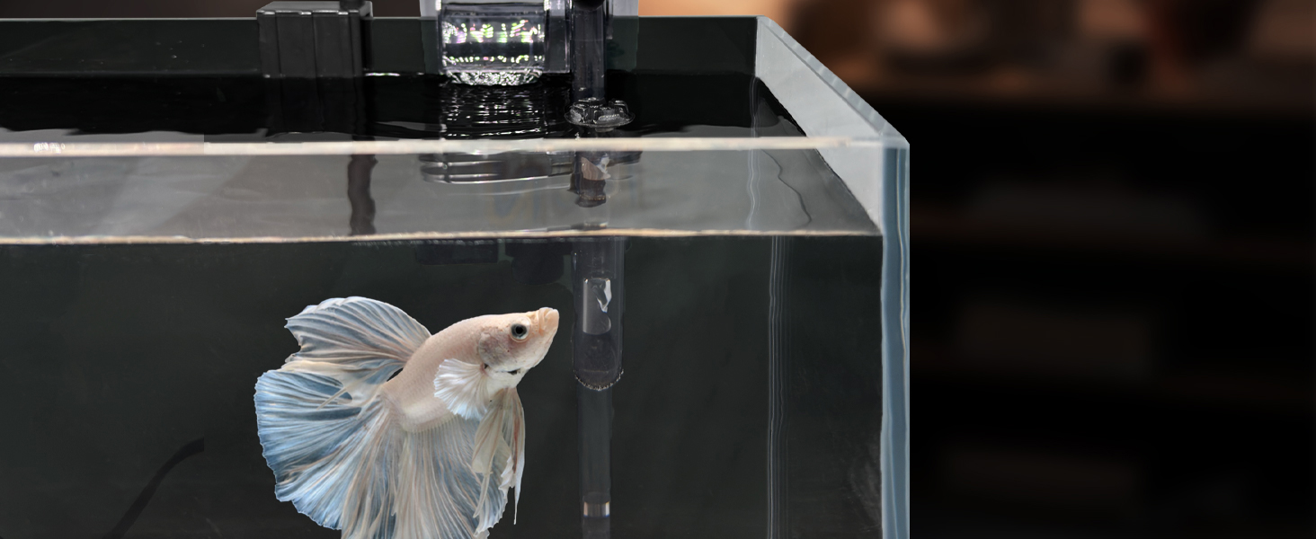 betta fish tank high made of high-transparency glass