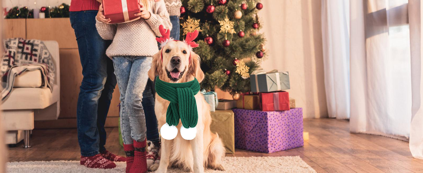 HYLYUN Christmas Pet Scarf 2 Pieces Knitted Pet Collar Winter Cat Neck Warmer Red Green Pet Scarf Puppy Cat Costume Accessories Mini Knitted Scarf for Small to Medium Sized Pets 20 Christmas Dog Knitted Scarf