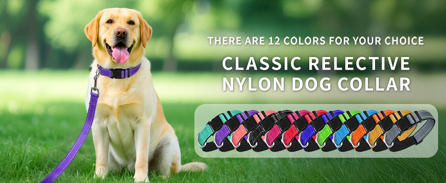large dog collar