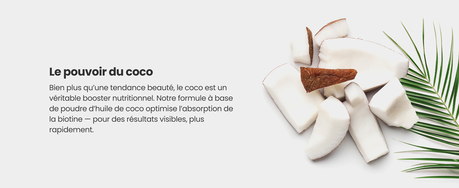 Morceaux de noix de coco et coquille sur fond blanc avec feuille de palmier. Le texte indique « Le pouvoir du coco », soulignant les avantages nutritionnels de la noix de coco.