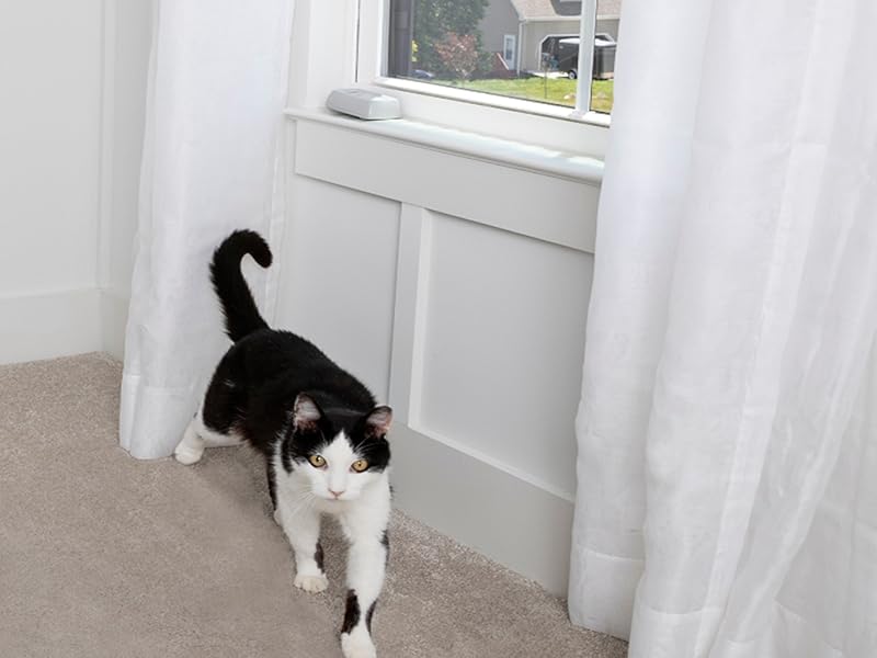 Large manufacture image 3