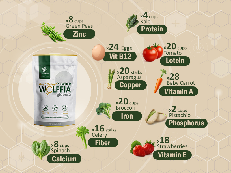 Dried Wolffia globosa powder Nutrition Profile